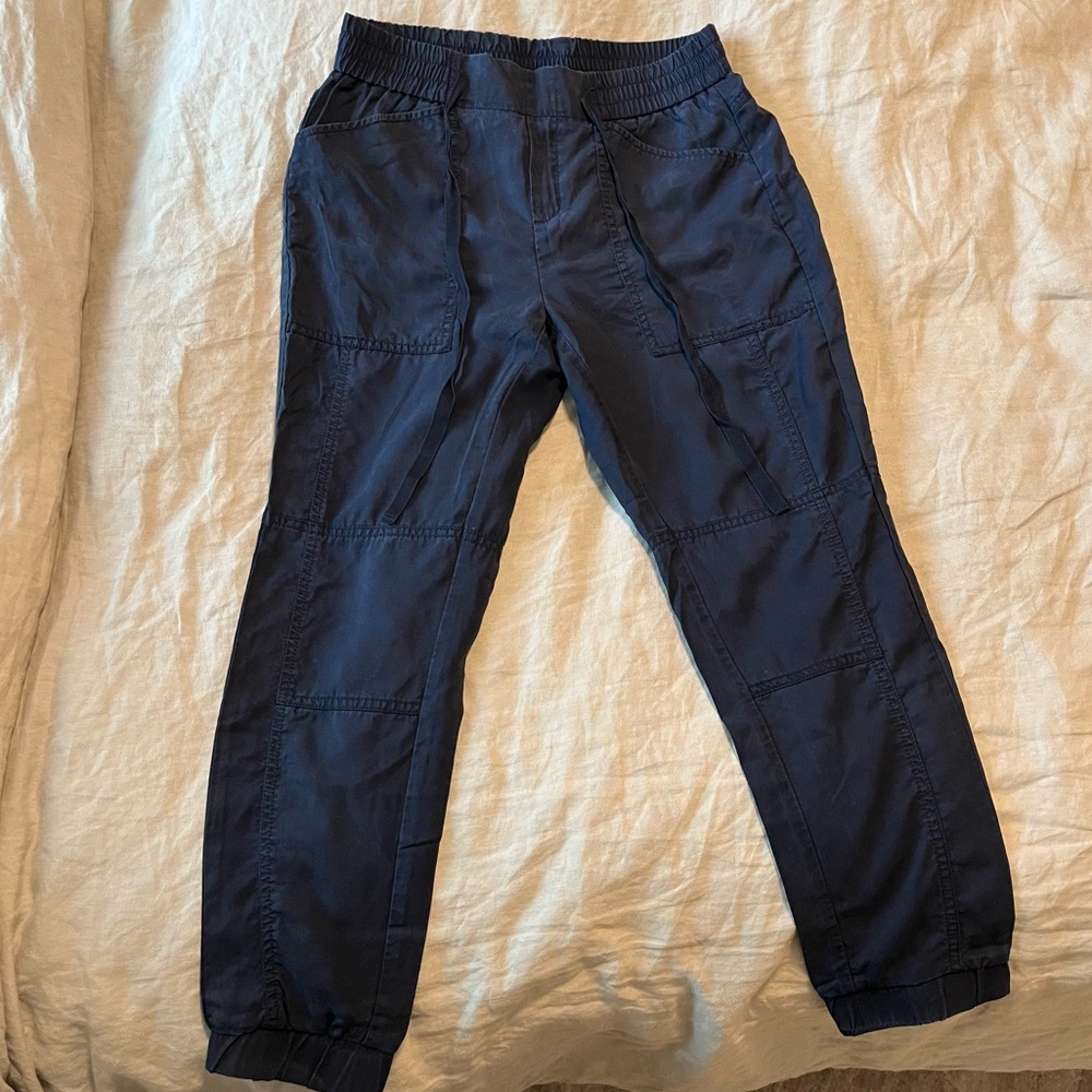 Banana Republic Dark Blue Cropped Pants
